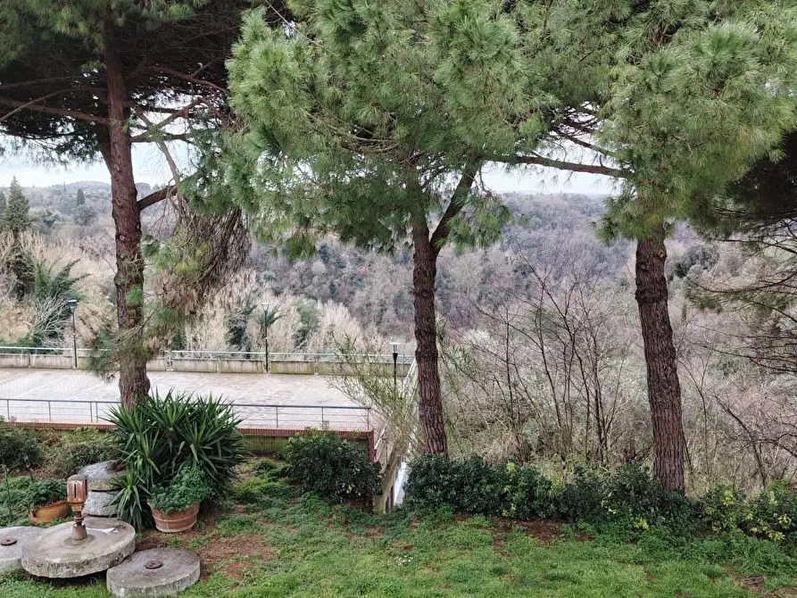 Immagine 10 di Appartamento in vendita  a Montopoli In Val D'arno