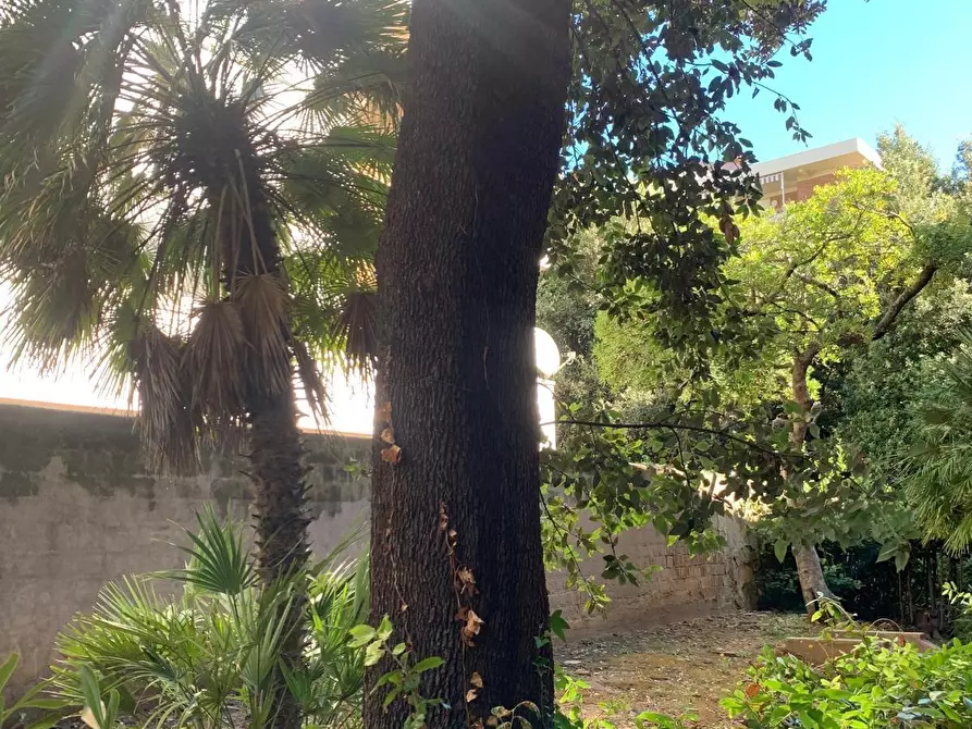 Immagine 17 di Appartamento in vendita  a Livorno