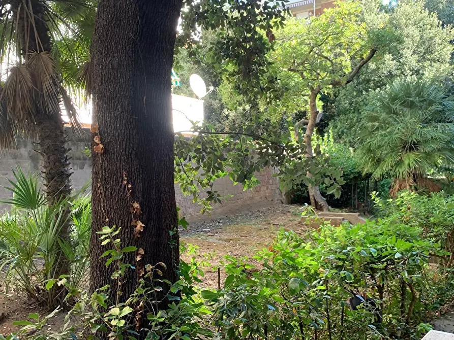 Immagine 16 di Appartamento in vendita  a Livorno