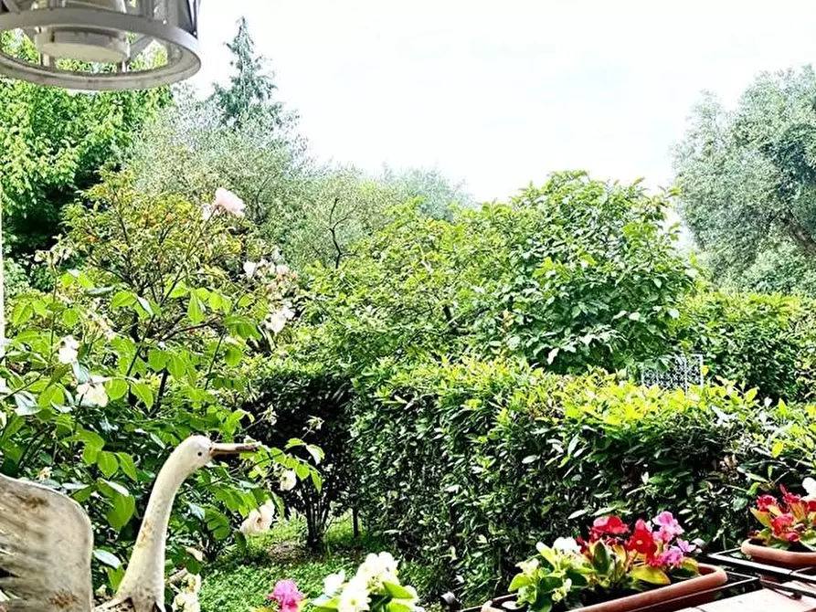 Immagine 10 di Appartamento in vendita  a Montignoso