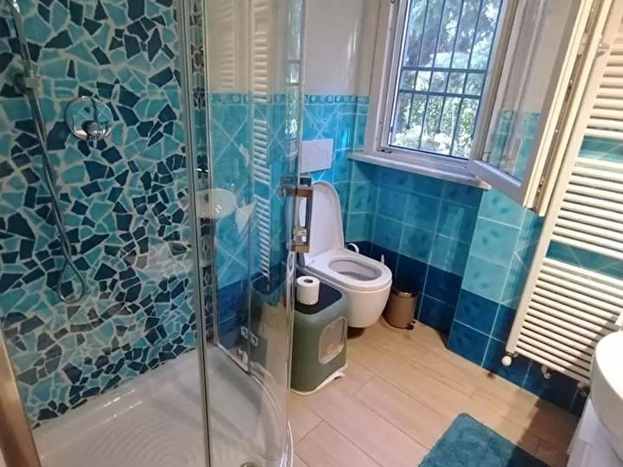 Immagine 21 di Appartamento in vendita  a Montignoso