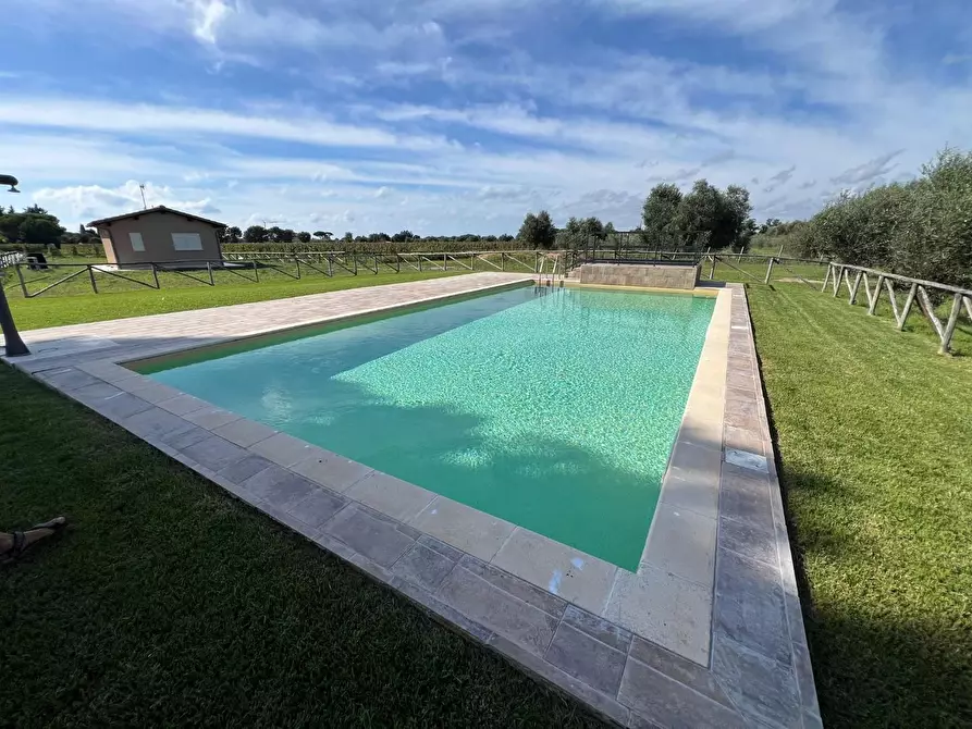 Immagine 6 di Porzione di casa in vendita  a Castagneto Carducci