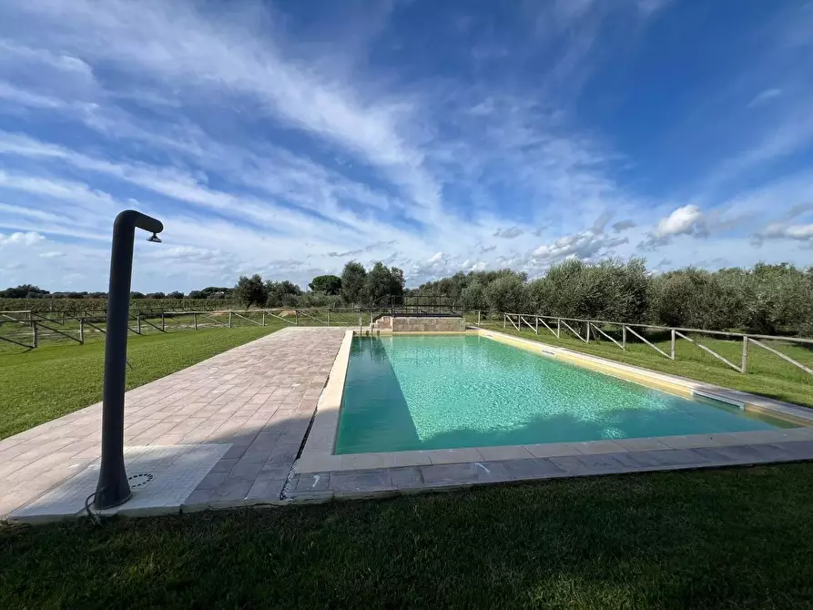 Immagine 4 di Porzione di casa in vendita  a Castagneto Carducci