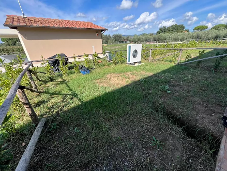Immagine 8 di Porzione di casa in vendita  a Castagneto Carducci