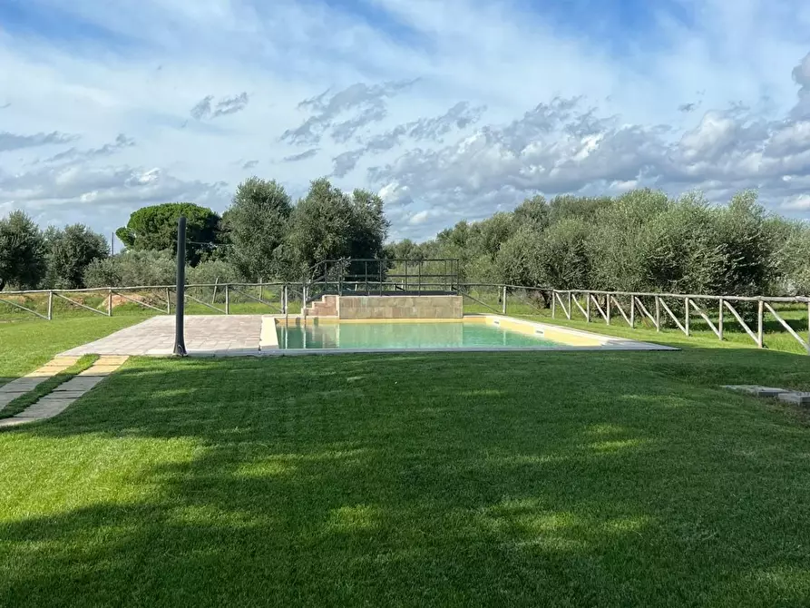 Immagine 5 di Porzione di casa in vendita  a Castagneto Carducci