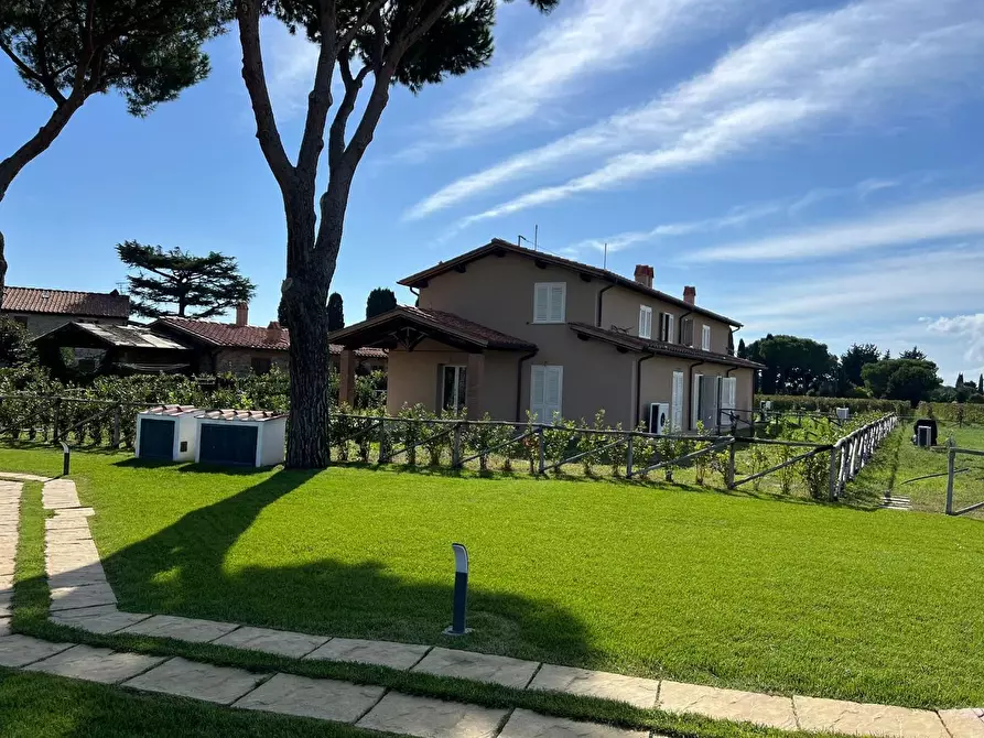 Immagine 3 di Porzione di casa in vendita  a Castagneto Carducci