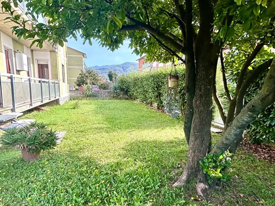 Immagine 3 di Appartamento in vendita  a Castelnuovo Magra