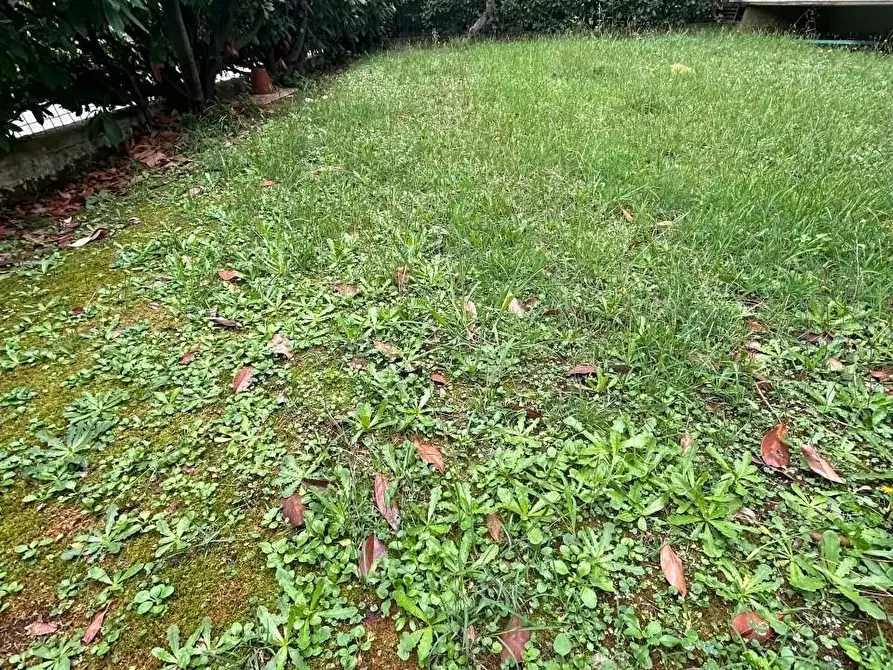 Immagine 6 di Appartamento in vendita  a Castelnuovo Magra