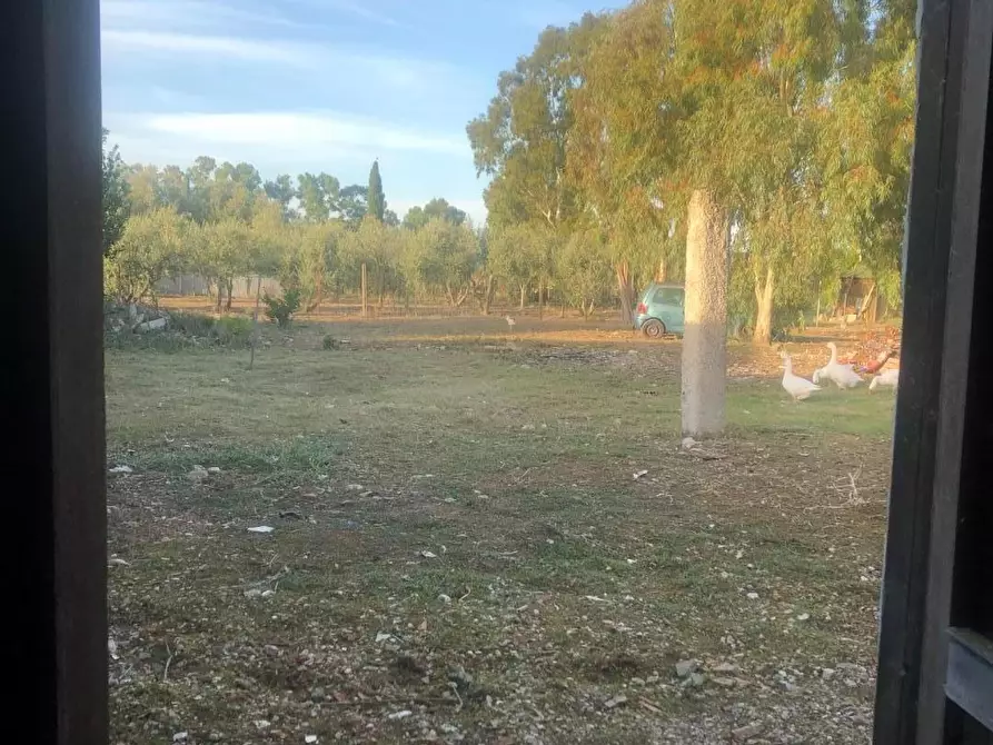 Immagine 5 di Casa indipendente in vendita  a Grosseto