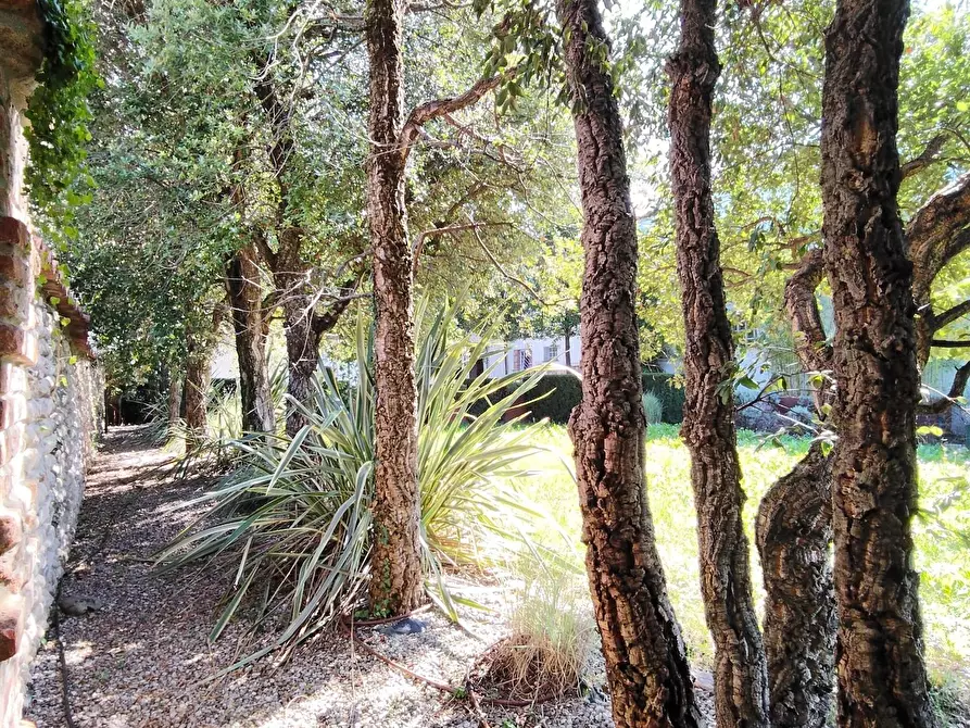 Immagine 44 di Appartamento in vendita  a Medolago