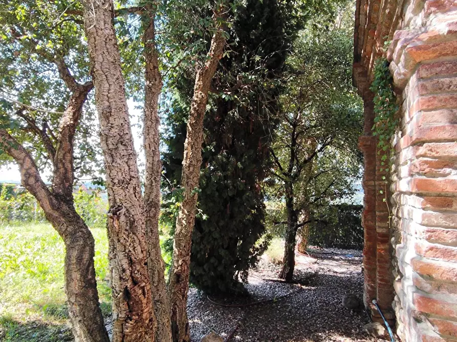 Immagine 43 di Appartamento in vendita  a Medolago