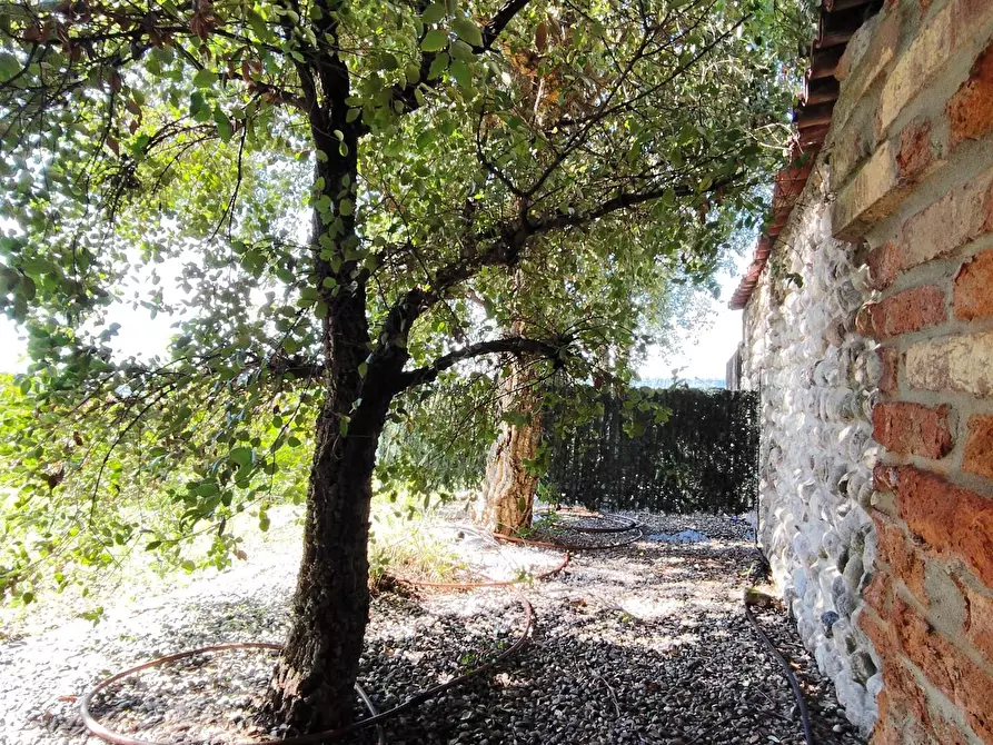 Immagine 46 di Appartamento in vendita  a Medolago