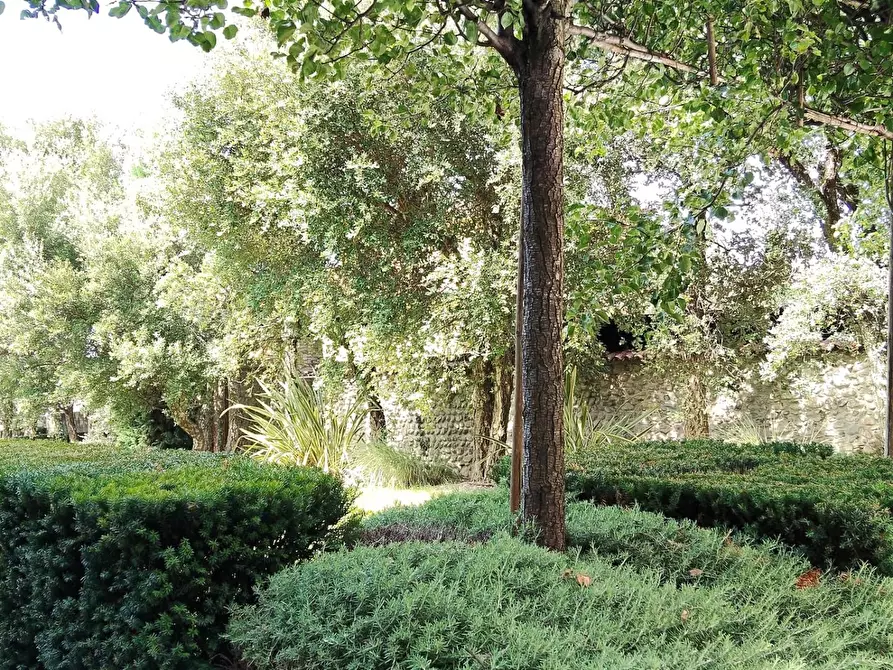 Immagine 49 di Appartamento in vendita  a Medolago