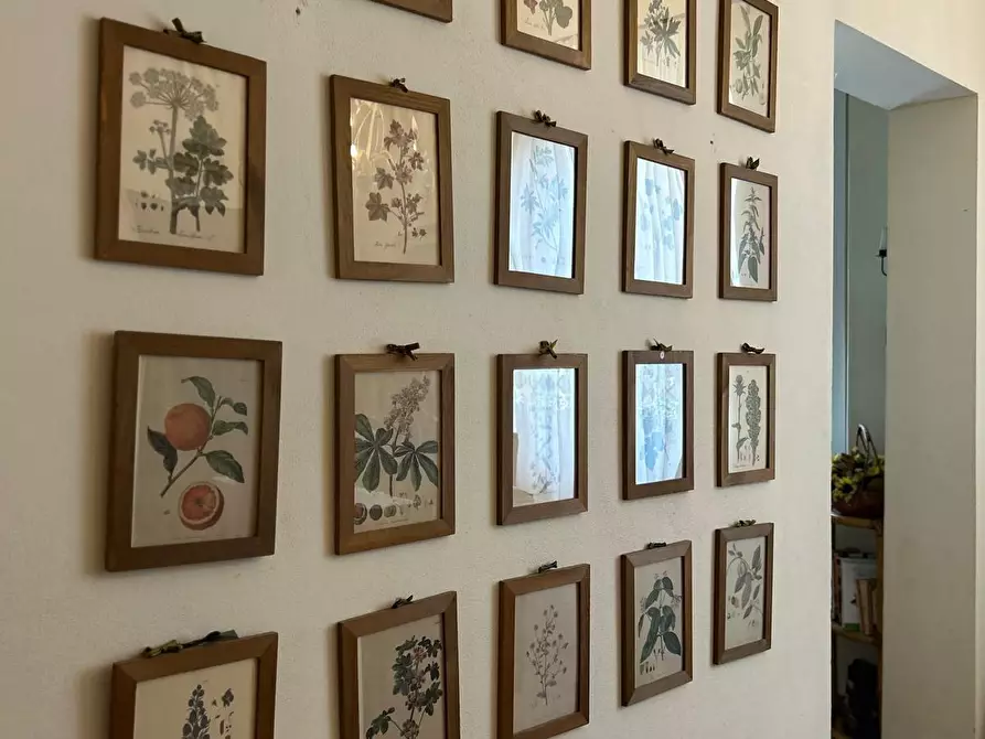 Immagine 12 di Appartamento in vendita  a Montecatini Val Di Cecina