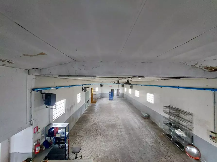 Immagine 17 di Capannone industriale in vendita  a Massarosa