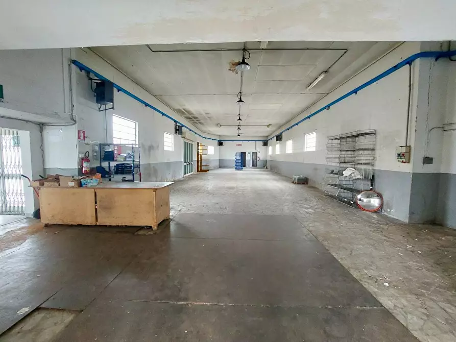 Immagine 1 di Capannone industriale in vendita  a Massarosa