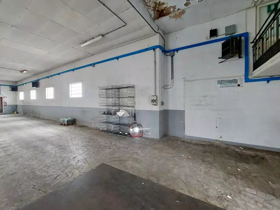 Immagine 3 di Capannone industriale in vendita  a Massarosa