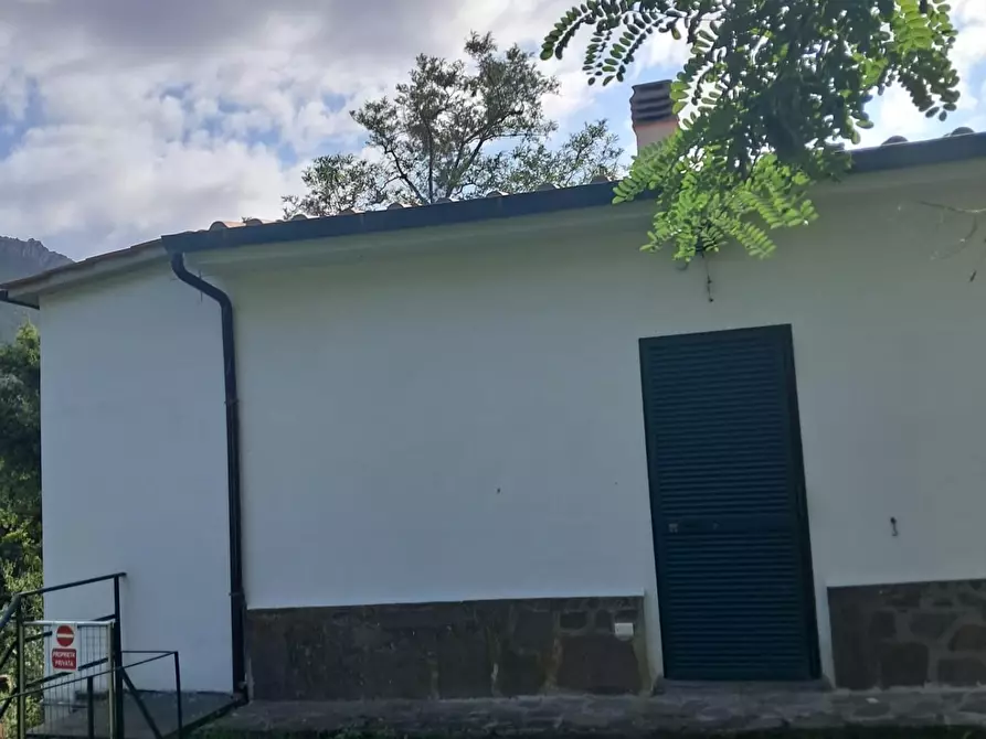 Immagine 3 di Villa in vendita  a Calci