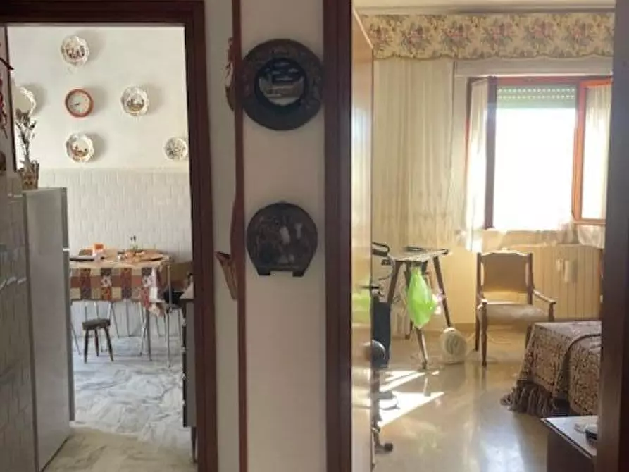 Immagine 26 di Appartamento in vendita  a Pisa