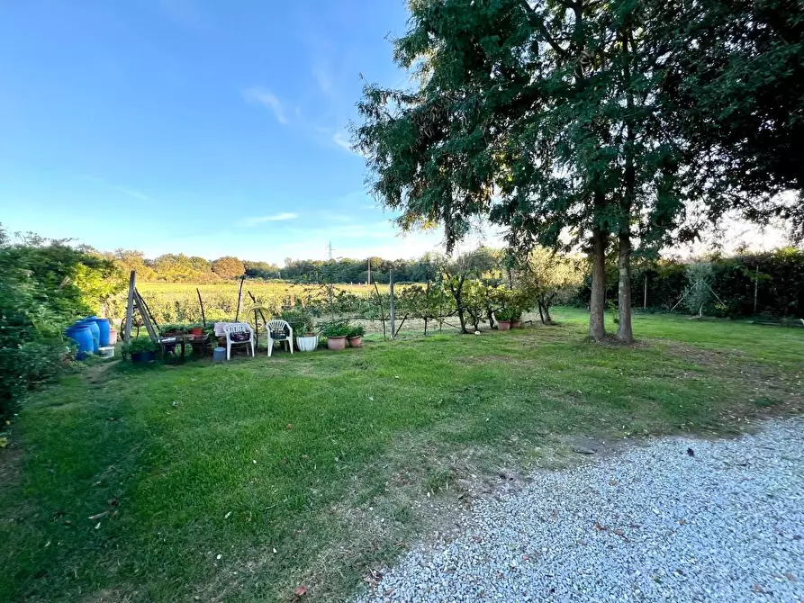 Immagine 29 di Casa colonica in vendita  a Castelfranco Di Sotto