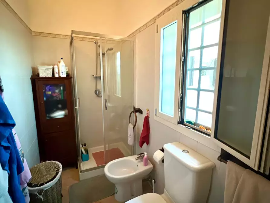 Immagine 25 di Casa colonica in vendita  a Castelfranco Di Sotto