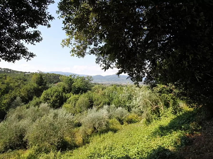 Immagine 7 di Villa in vendita  a Montecarlo