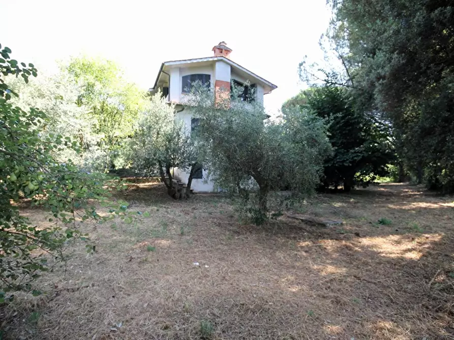 Immagine 6 di Villa in vendita  a Montecarlo