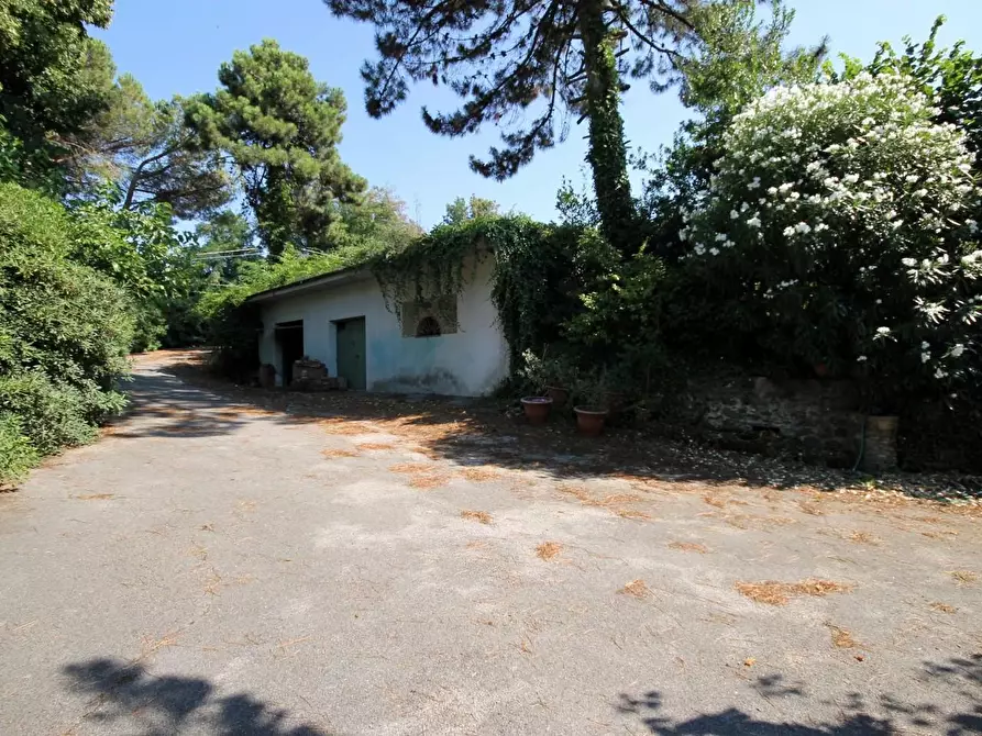 Immagine 34 di Villa in vendita  a Montecarlo