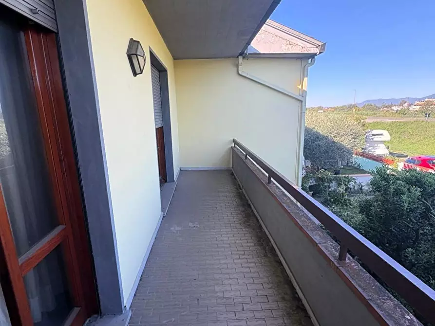 Immagine 16 di Terratetto in vendita  a San Miniato