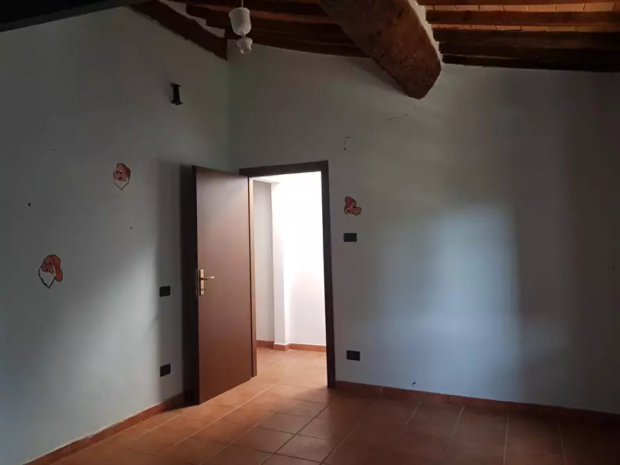 Immagine 13 di Appartamento in vendita  a Collesalvetti