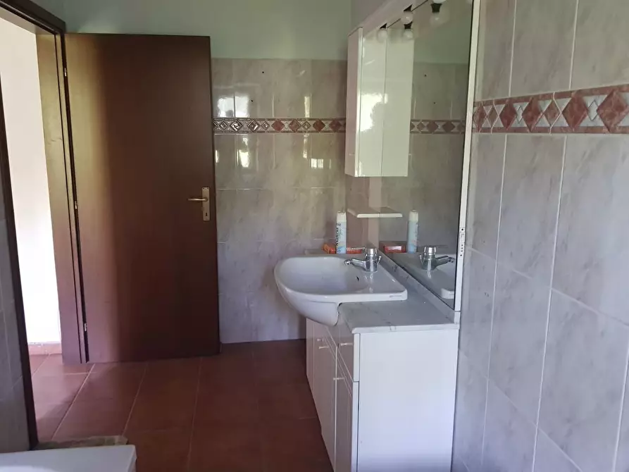 Immagine 17 di Appartamento in vendita  a Collesalvetti