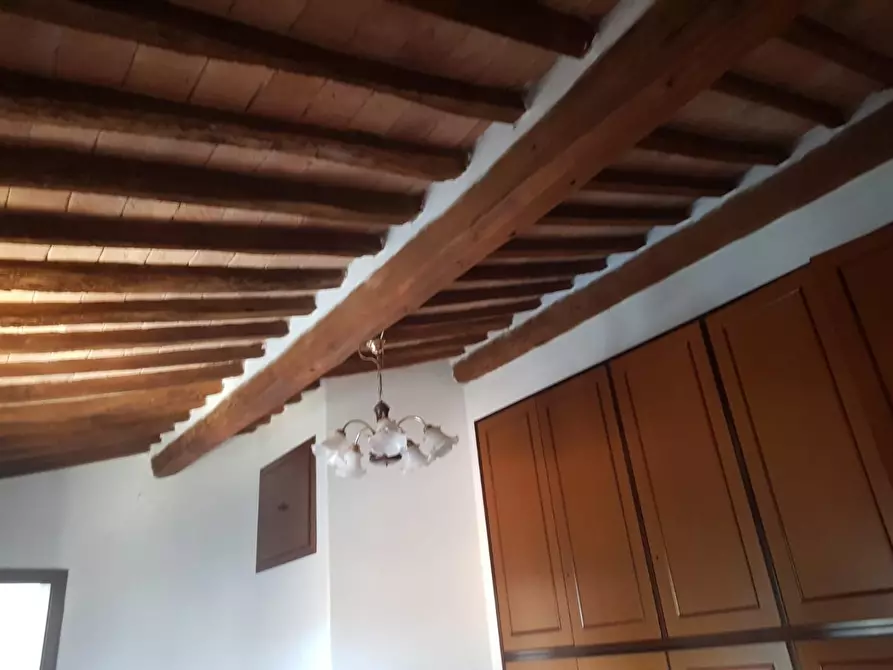 Immagine 18 di Appartamento in vendita  a Collesalvetti