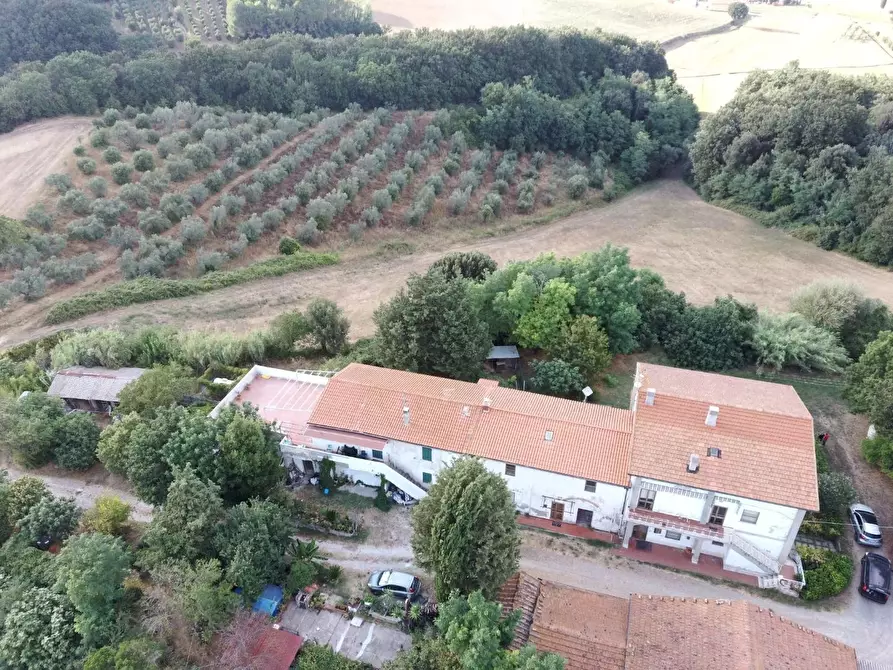 Immagine 6 di Appartamento in vendita  a Collesalvetti