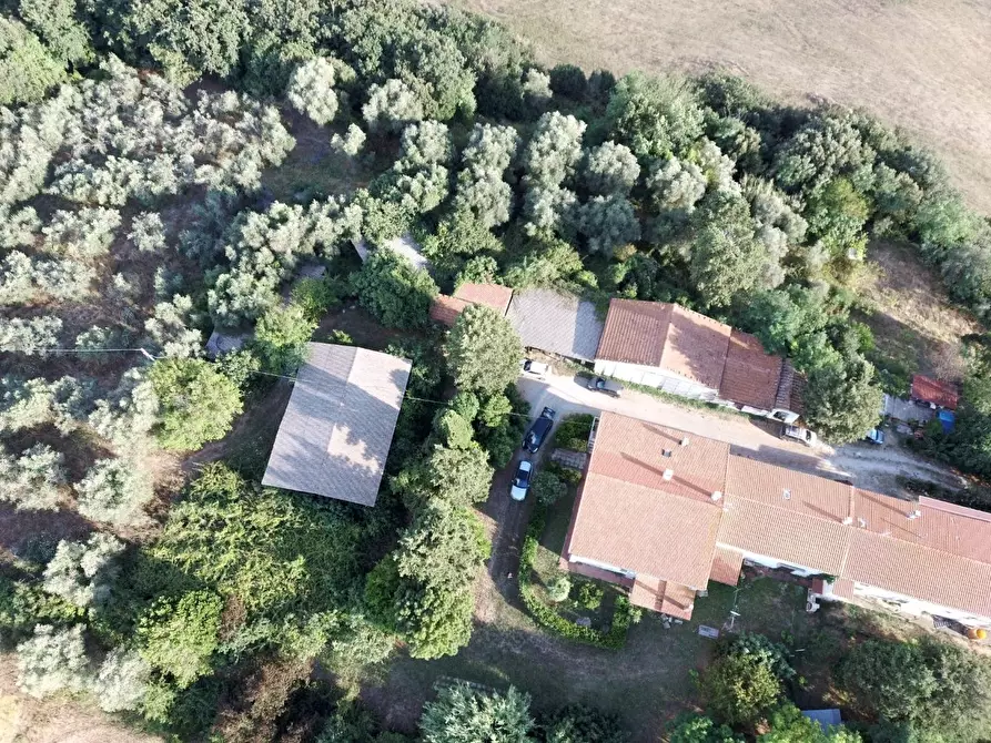 Immagine 2 di Appartamento in vendita  a Collesalvetti