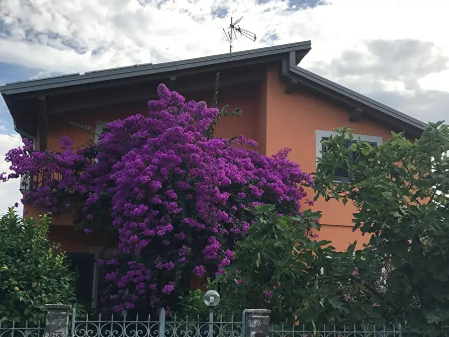 Immagine 2 di Villa in vendita  a Massa