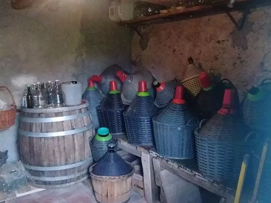 Immagine 11 di Casa indipendente in vendita  a Massa