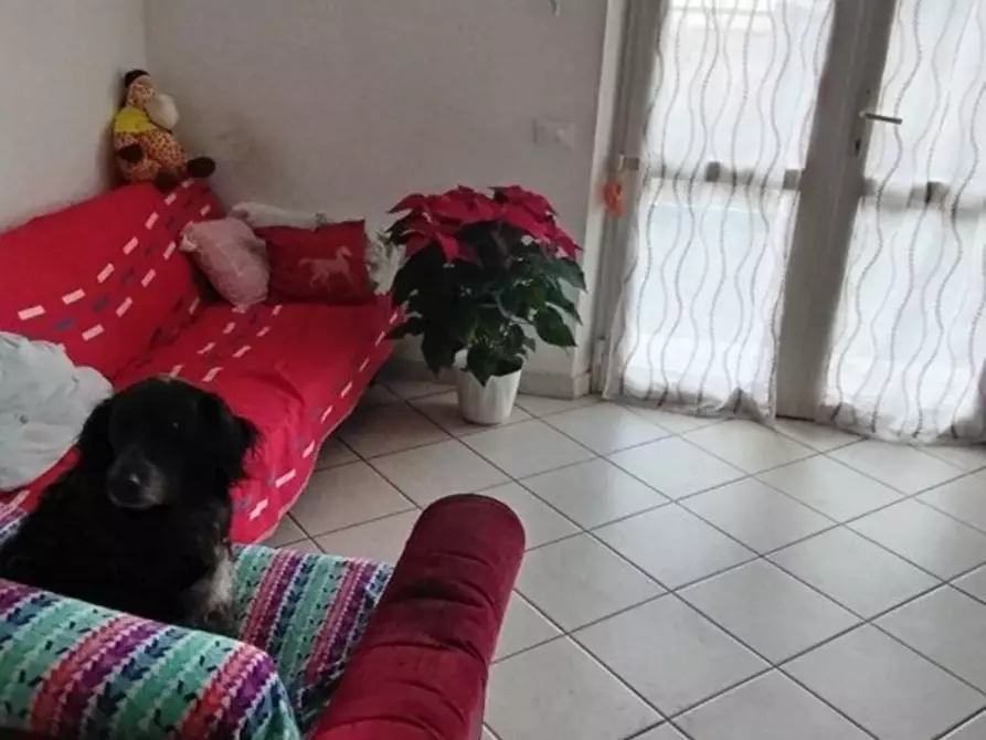 Immagine 7 di Appartamento in vendita  a Massa