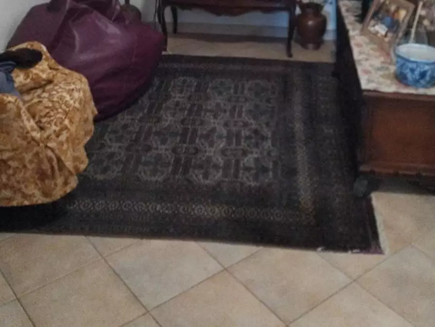 Immagine 5 di Appartamento in vendita  a Carrara