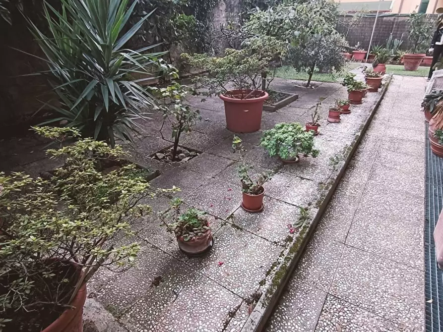 Immagine 9 di Appartamento in vendita  a Montignoso