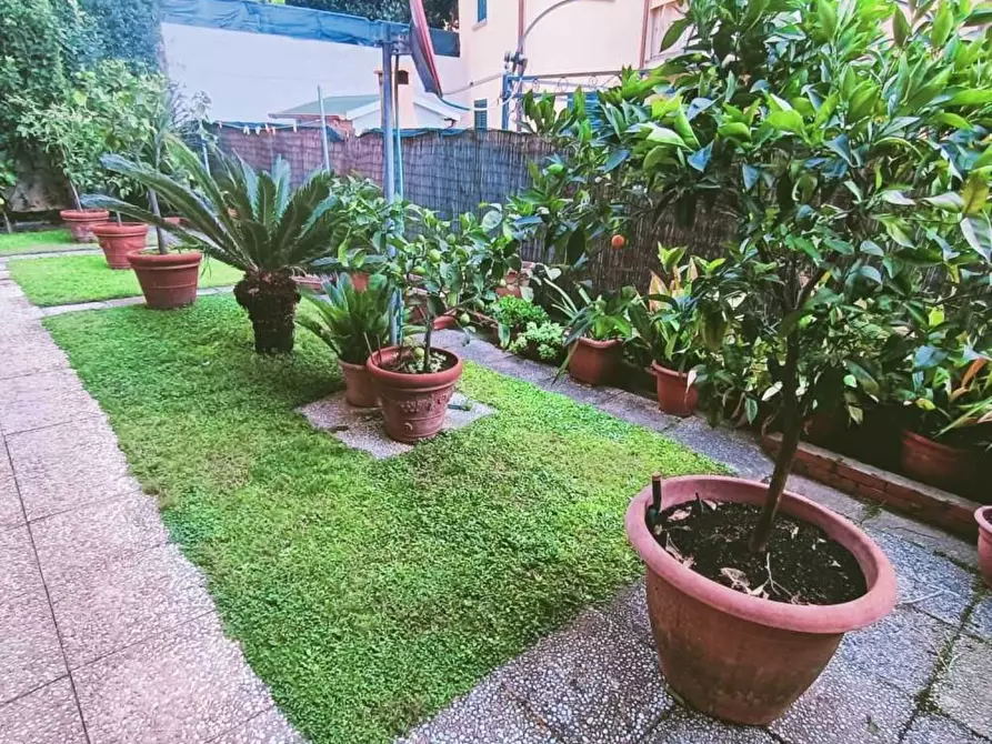 Immagine 7 di Appartamento in vendita  a Montignoso