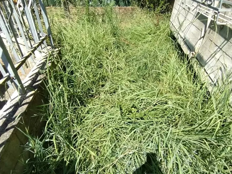 Immagine 3 di Appartamento in vendita  a Massa