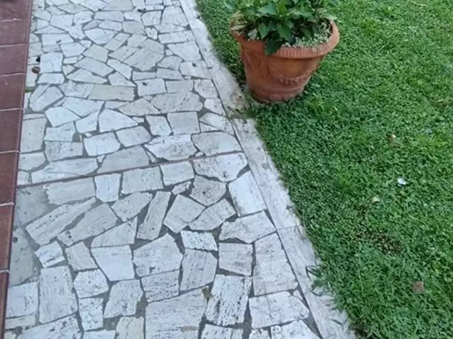 Immagine 4 di Appartamento in vendita  a Massa