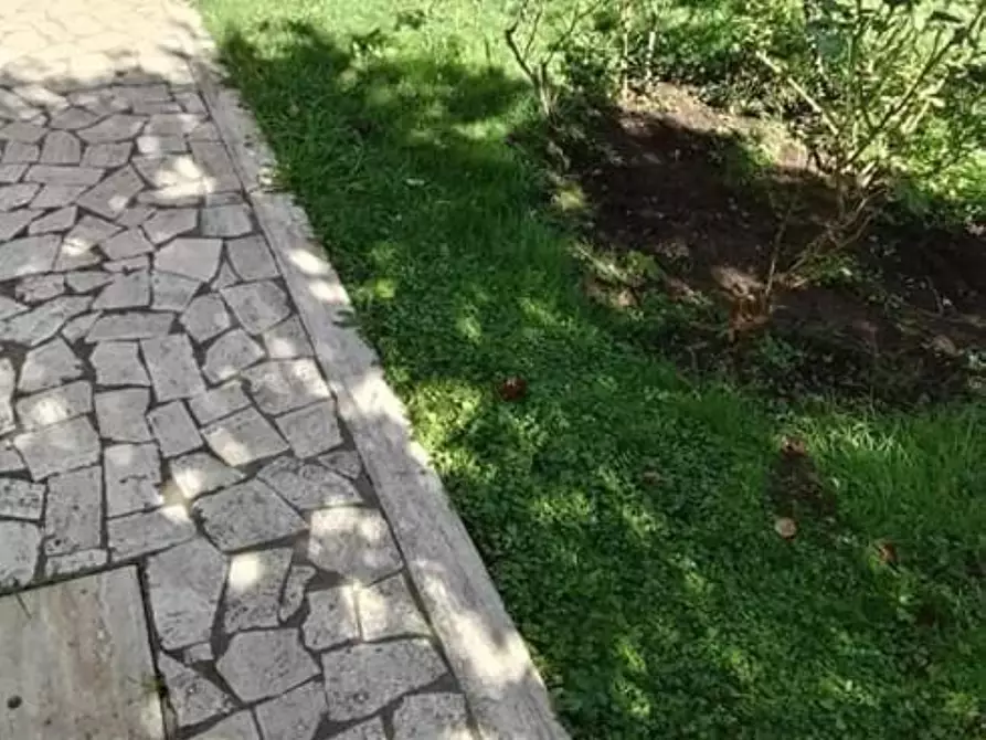 Immagine 6 di Appartamento in vendita  a Massa