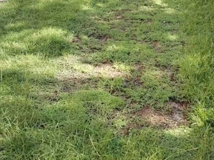 Immagine 10 di Appartamento in vendita  a Massa