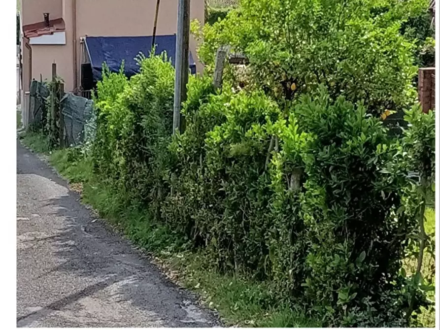 Immagine 2 di Casa indipendente in vendita  a Massa