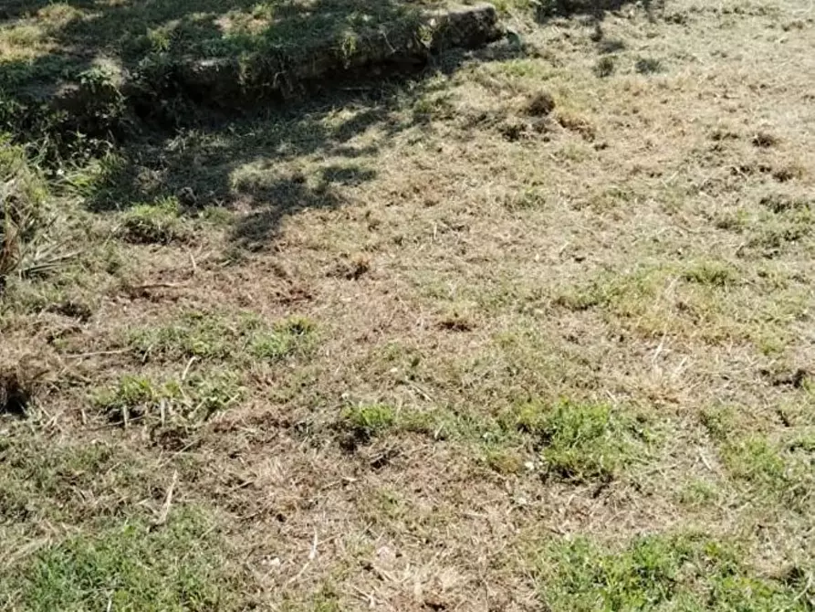 Immagine 8 di Casa indipendente in vendita  a Massa