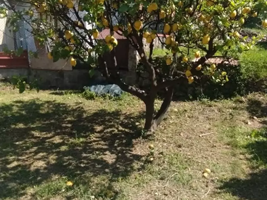 Immagine 12 di Casa indipendente in vendita  a Massa