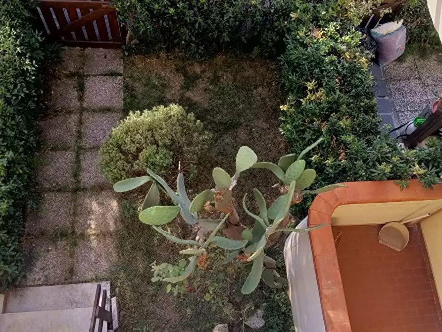 Immagine 6 di Villetta a schiera in vendita  a Massa