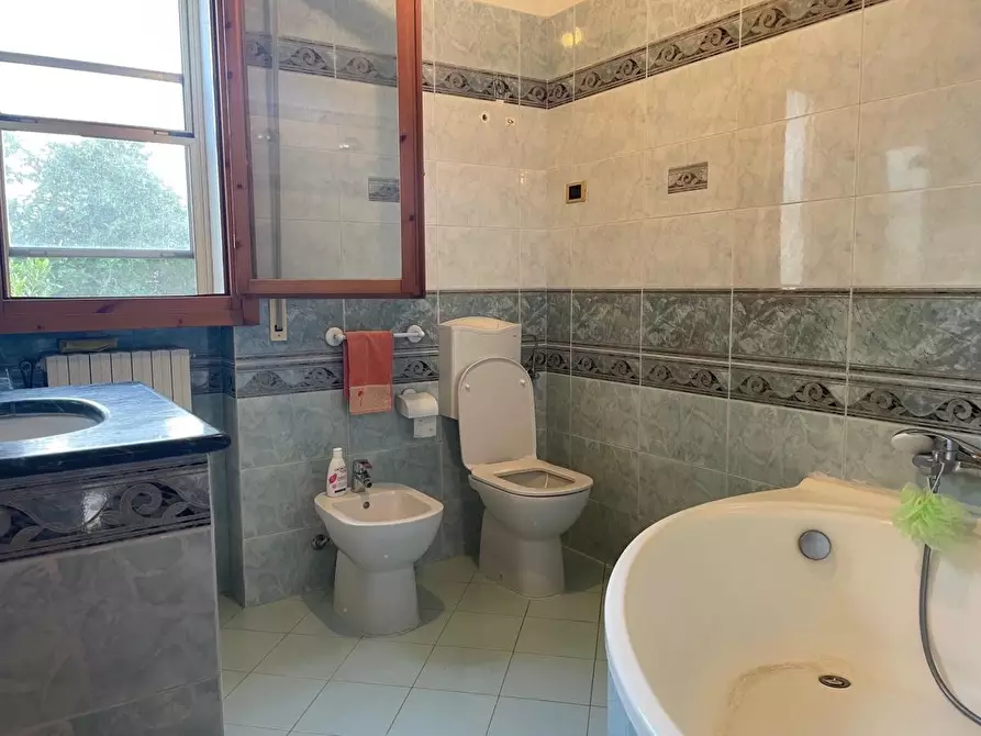 Immagine 17 di Appartamento in vendita  a Collesalvetti