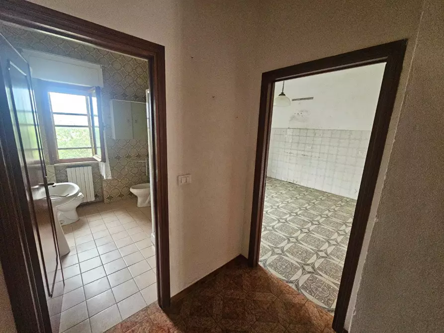 Immagine 26 di Appartamento in vendita  a Collesalvetti